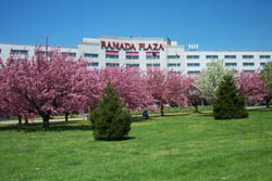 Ramada Plaza Hotel JFK International Airport - Jamaica/JFK Airport - USA